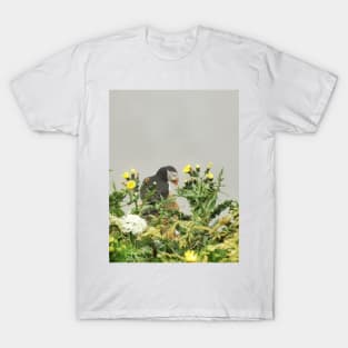 Puffin T-Shirt